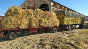 Dos pacas de paja de 200 kilos cada una acaban con la vida de un joven en Guadalajara