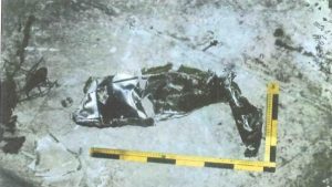 Guardia Civil encuentra piezas metálicas misteriosas cerca del accidente mortal de Adamuz