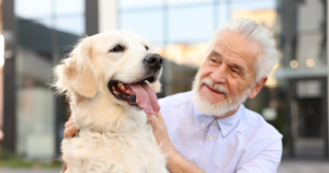 Psychology Reveals What Your Dog Choice After 60 Exposes About Your Hidden Emotional Needs