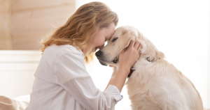 Psychology reveals why talking to pets feels more satisfying than most human conversations